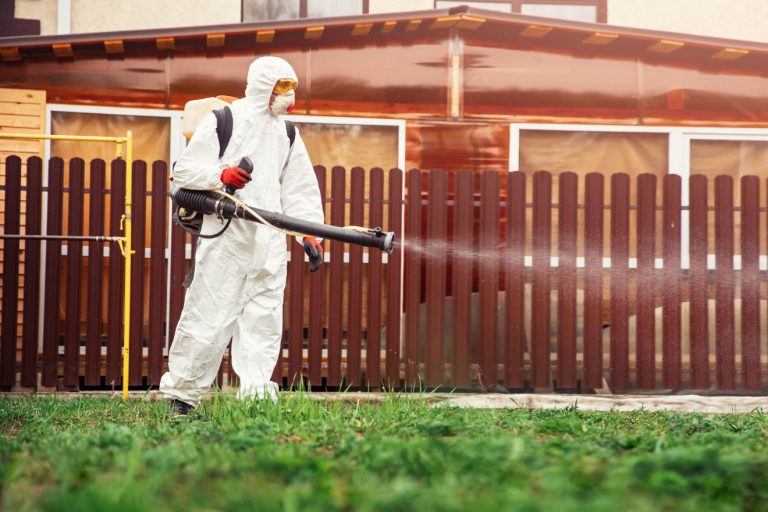 Bug Or Disease Treatment