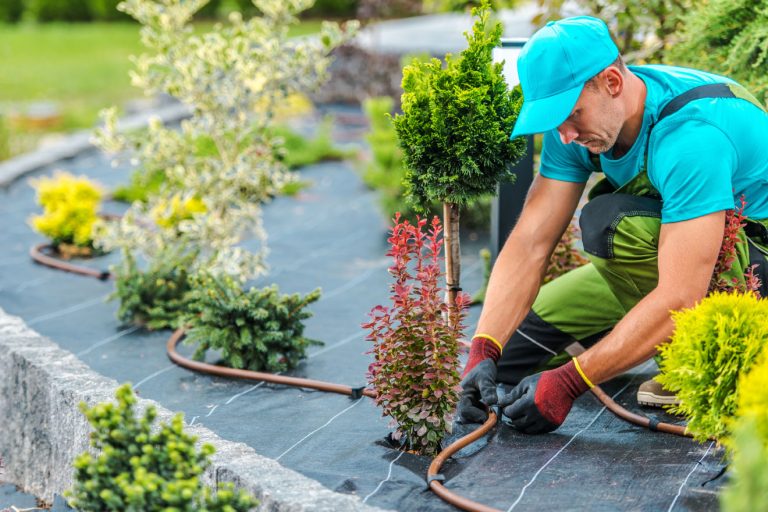 Irrigation System Maintenance & Repair