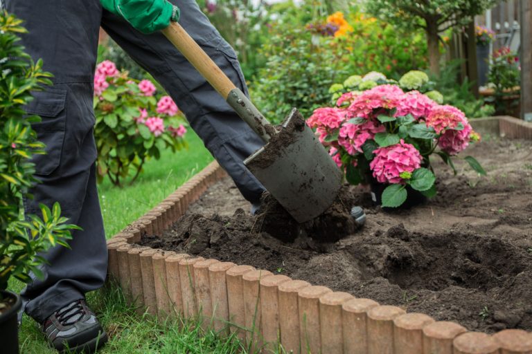 Planting Or Reseeding